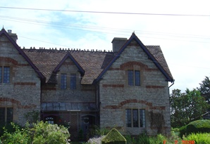 Homepage Image 1